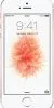 iPhone SE