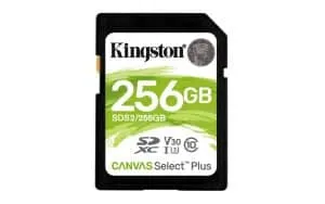 Kingston Technology Canvas Select Plus 256 GB SDXC UHS-I Klasse 10 - 0